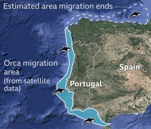 Noonsite | Orca-Plan of migration route